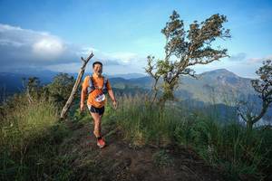 BIB: 250
                            <button type="button" onclick="openModal(22445566)" class="btn btn-primary btn-sm float-right btn-popup" data-toggle="modal" data-target=".modal-high-quality">
                        <i class="fas fa-shopping-cart"></i> Add to Cart
                    </button>
                                            <button type="button" onclick="isThisMe(22445566, true)" class="btn btn-success btn-sm float-right btn-popup btn-isme hidden" data-toggle="tooltip" data-placement="bottom" title="นี่คือรูปของคุณใช่ไหม คลิกที่นี่เพื่อเอาเข้าอัลบั้ม">
                        <i class="fas fa-plus"></i> Add to album
                    </button>
                    <button type="button" onclick="isThisMe(22445566, false)" class="btn btn-warning btn-sm float-right btn-popup btn-isnotme hidden">
                        <i class="fas fa-ban"></i> Remove from album
                    </button>